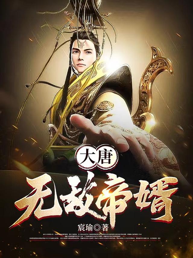 大唐贵婿
